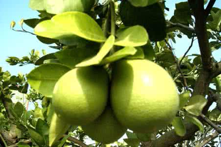 爱游戏官方网站案例展示七