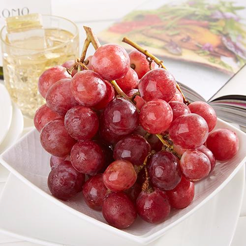 爱游戏官方网站产品名称五